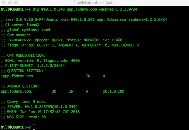 ../../_images/dig_client_subnet.png